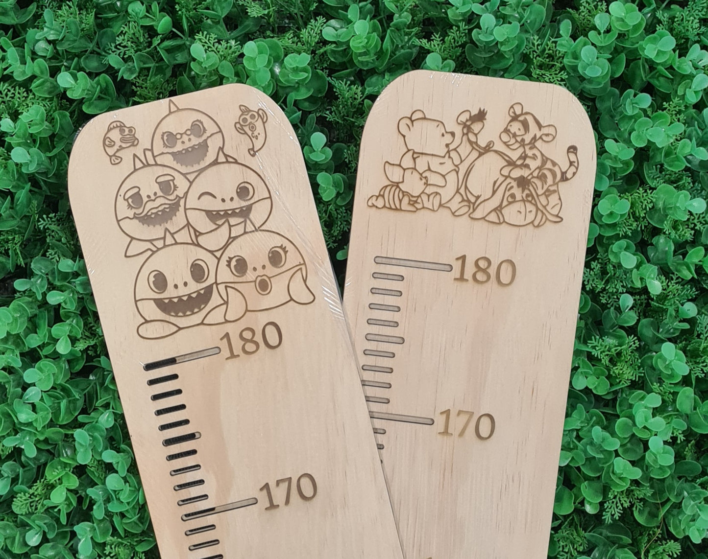 Engraved Plywood Height Chart