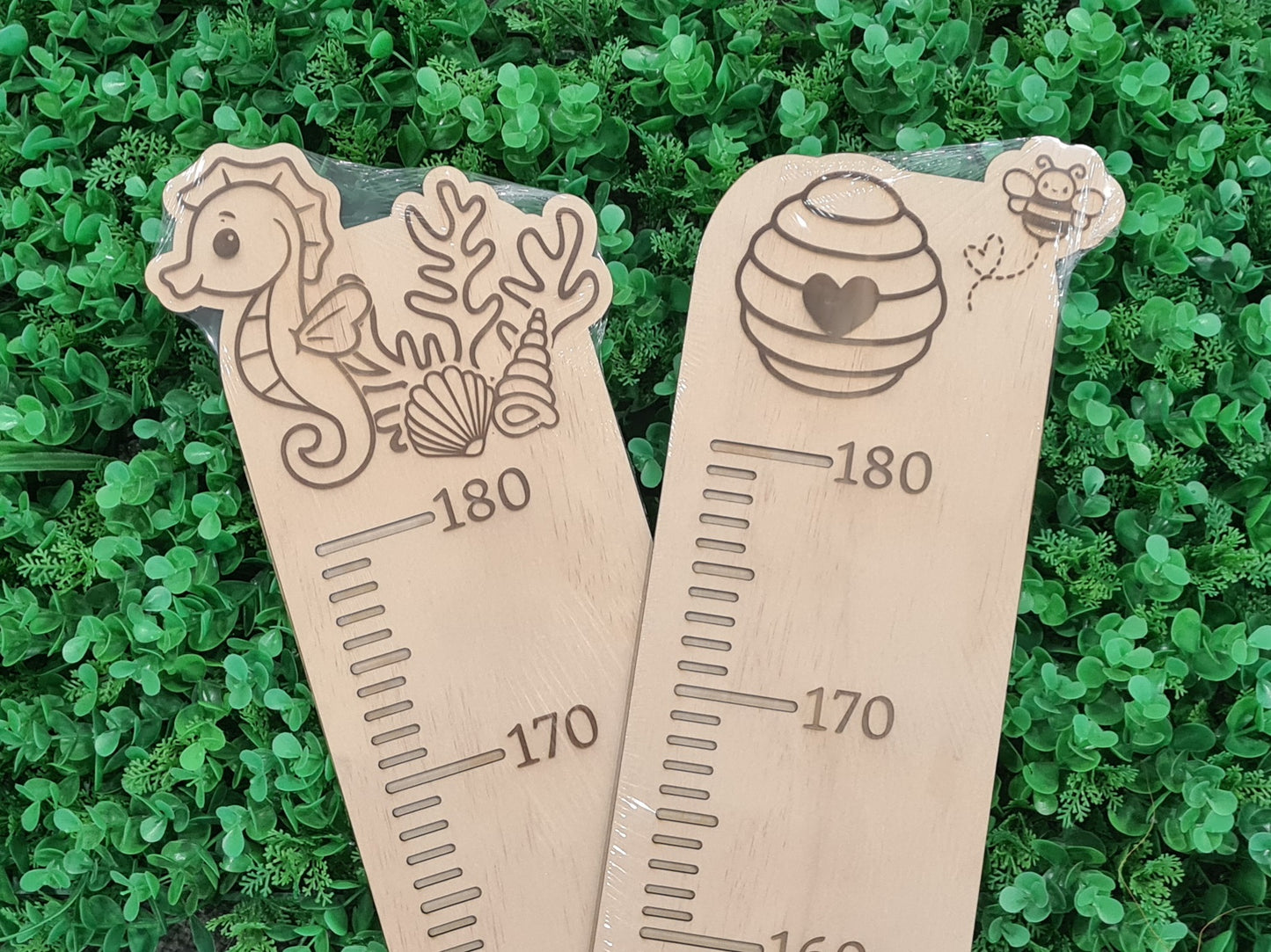 Engraved Plywood Height Chart